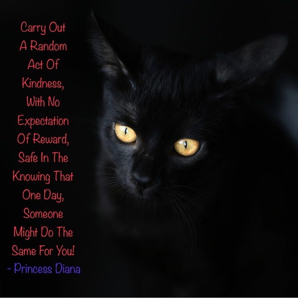 Meet your Posher, Catayoun - Picture 15 of 16